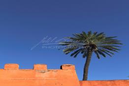 Image du Maroc Professionnelle de  Hormis les remparts de Marrakech qui sont construits entièrement en pisé selon une technique séculaire par l'Almoravide Ali Ben Youssef au début de XIIème siècle pour se protéger des attaques extérieures. La ville rouge dispose d’autres murailles qui protègent les parcs comme celle-ci qui clôturent les jardins de l'Agdal Ba Ahmed. Au fond la chaine de montagne du Haut Atlas enneigé surplombe la plaine du Haouz où de nombreux palmiers des jardins apportent à ce paysage un contraste très accentué, 3 Décembre 2012. (Photo / Abdeljalil Bounhar)